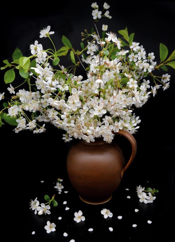neelam279-vase-5109481_1280